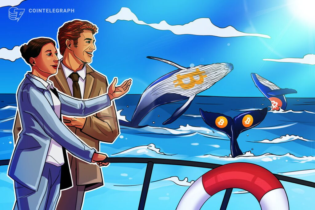 Bitcoin whales ‘took advantage’ of $90K BTC price dip, scooping up $1.5B