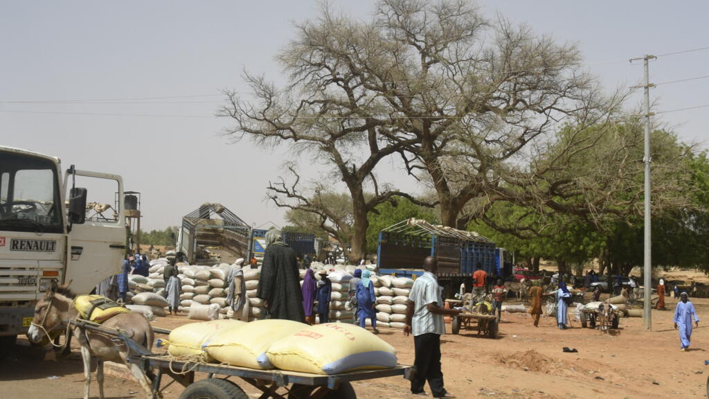 Niger defence ministry says 39 killed in 'horrific' attacks near Burkina Faso border