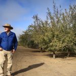 ‘Our farms will come to a stop’: US farmers fret over Trump's deportation plans