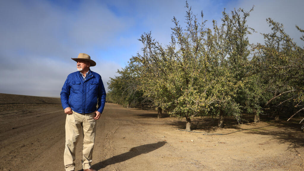 ‘Our farms will come to a stop’: US farmers fret over Trump's deportation plans