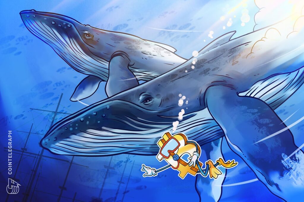 Bitcoin whales employ ‘wait-and-see strategy’ as price hovers at $96K