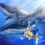 Bitcoin whales employ ‘wait-and-see strategy’ as price hovers at $96K