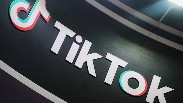 U.S. appeals court denies TikTok’s request to halt sale order