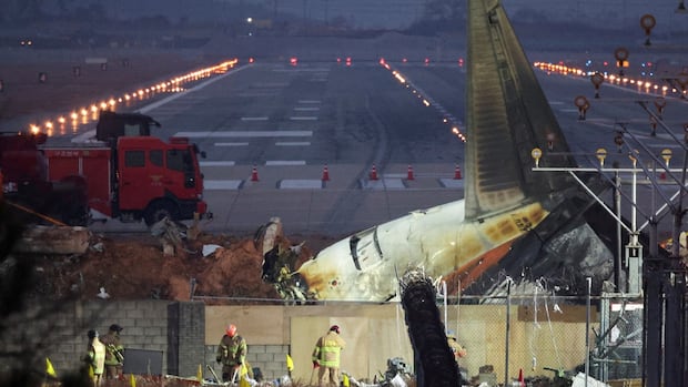 After deadly South Korean plane crash, airport’s runway design criticized