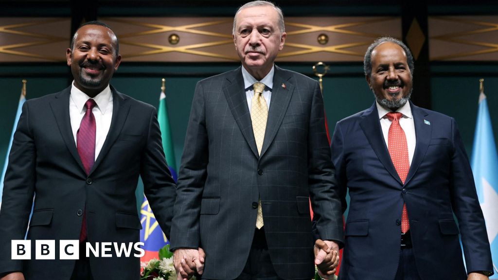 Ethiopia and Somalia reach deal in Turkey to end Somaliland port feud