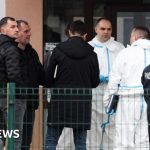 Child dies in stabbing at Croatian primary school