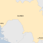 Guinea: Dozens killed in crush at football match