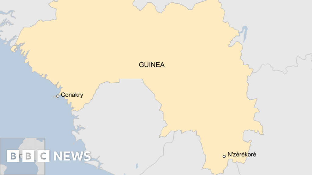 Guinea: Dozens killed in crush at football match