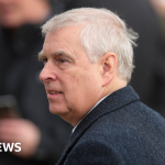 Prince Andrew says he ‘ceased all contact’ with alleged Chinese spy