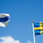 Investigation under way after Finland-Sweden cables damaged