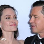 Why has the Pitt and Jolie divorce taken so long?