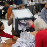 Counting resumes in Irish general election