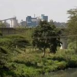 Kenya: Nairobi River pollution contaminates food and water supply