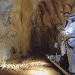 The Chauvet cave: Unlocking France's prehistoric past