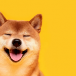 Targets To Watch As Dogecoin Price Recovers For A Play Toward $1