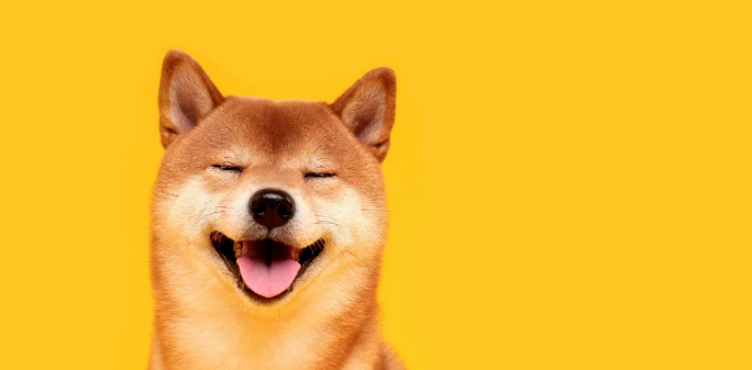 Targets To Watch As Dogecoin Price Recovers For A Play Toward $1