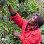 Farmers face the double whammy of poor pay and climate change