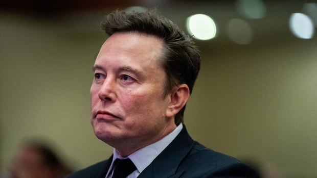 Musk vows to wage ‘war’ to defend visa program amid rift with fellow Trump backers