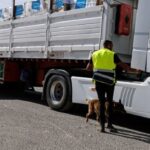 UN halts aid shipments through Gaza’s main crossing after looting