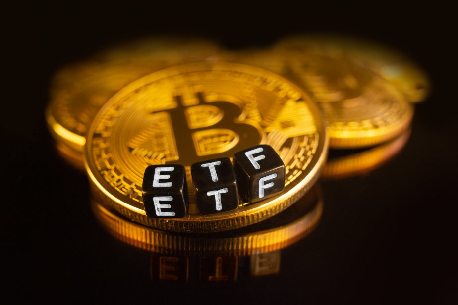 Bitcoin ETFs Surpass Satoshi’s Holdings, Blockchain Firm Breaks Down Institutional Adoption In 2024