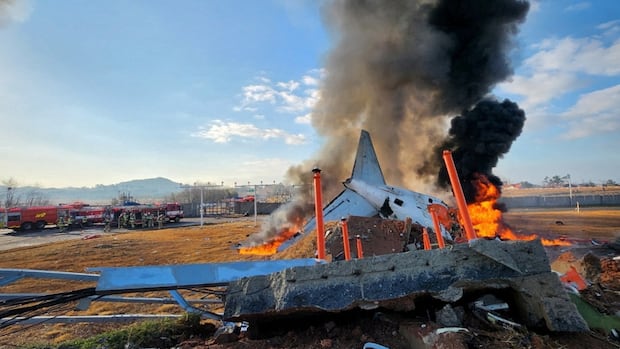 Dozens killed in South Korea after plane veers off runway, bursts into flames