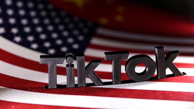 U.S. Supreme Court agrees to hear TikTok bid to halt ban