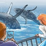 Bitcoin whales have scooped up 34K BTC since December dump: Analyst