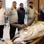 Motorbike-sized tuna sold to Tokyo sushi restaurateurs for $1.3m