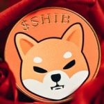 Shiba Inu Large Transaction Volume Up 40%, Burn Rate Crashes 71.5%, What’s Going On?