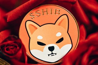 Shiba Inu Large Transaction Volume Up 40%, Burn Rate Crashes 71.5%, What’s Going On?