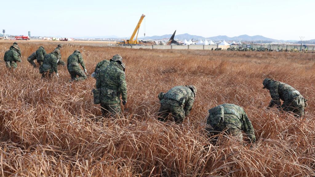 Cockpit transcript could provide clues on cause of fatal South Korea plane crash